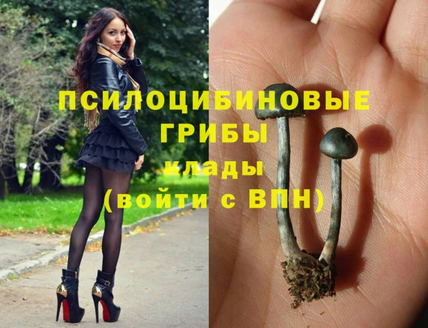 каннабис Алзамай