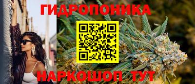 стаф Анжеро-Судженск