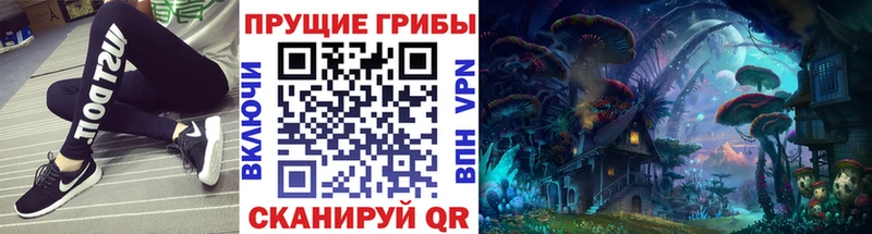 hydra как войти  Курск  Галлюциногенные грибы GOLDEN TEACHER 